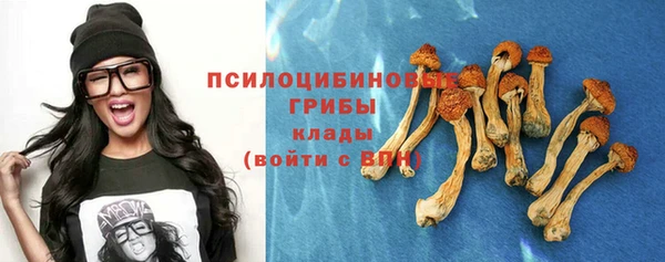 бутират Елизово