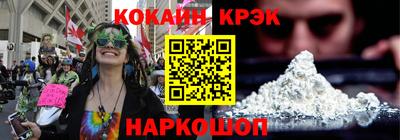 молекула духа Кингисепп