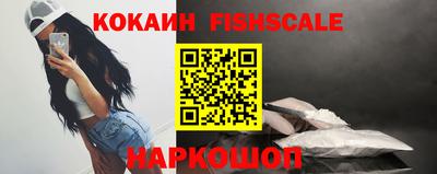 молекула духа Кингисепп
