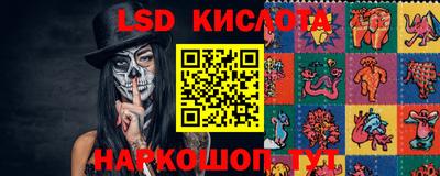 молекула духа Кингисепп