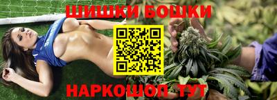 молекула духа Кингисепп