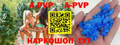 молекула духа Кингисепп