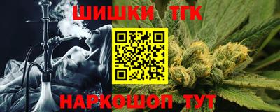 молекула духа Кингисепп