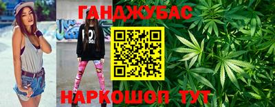 молекула духа Кингисепп