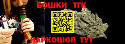 молекула духа Кингисепп