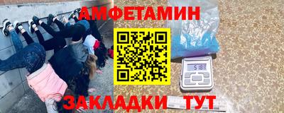 молекула духа Кингисепп