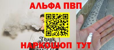 молекула духа Кингисепп
