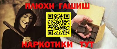 молекула духа Кингисепп