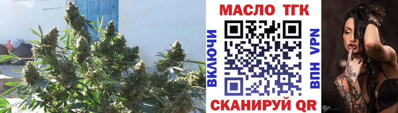 ТГК гашишное масло  Протвино 